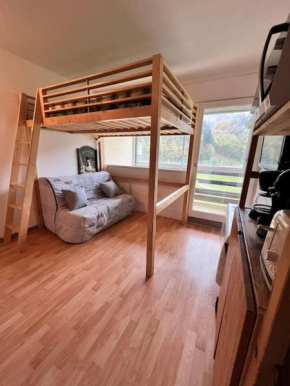 Studio au pied des pistes
